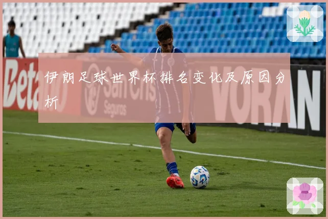 伊朗足球世界杯排名变化及原因分析
